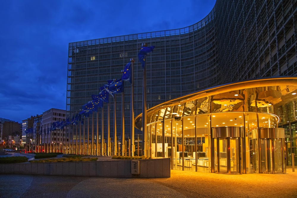 Commissione Europea e accesso dei giovani alle reti sociali