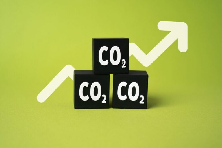 Grafico del mercato delle quote di CO2