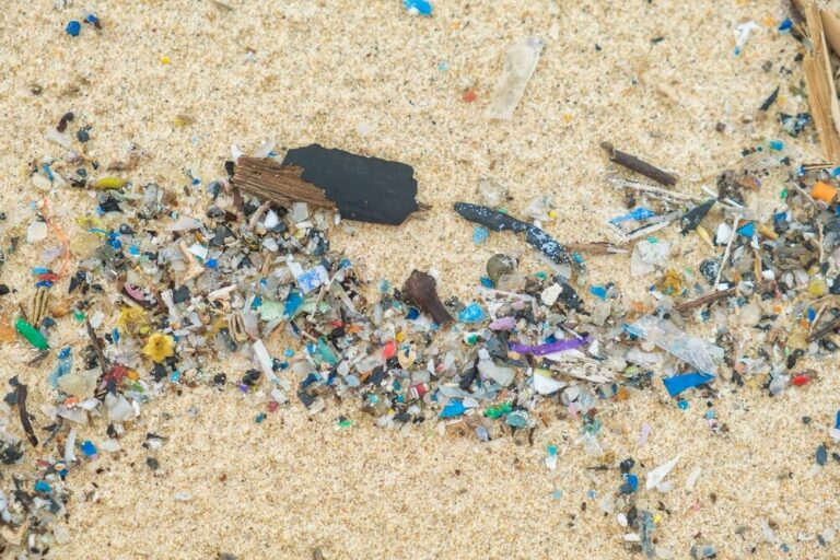 Immagine rappresentativa dell'emergenza plastica in Italia